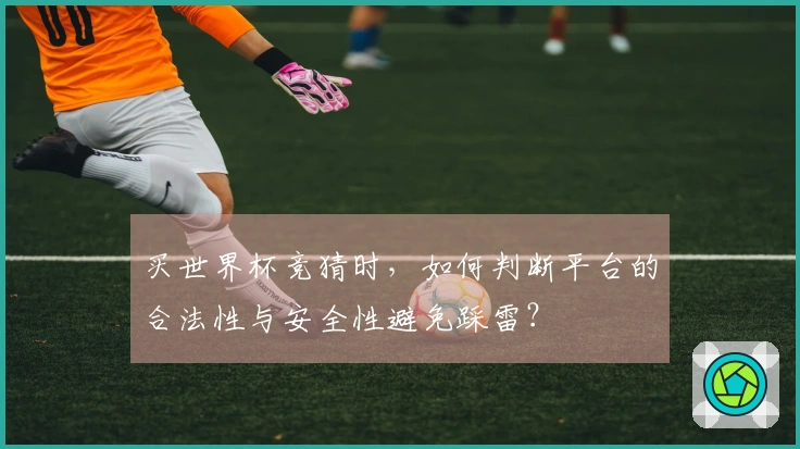买世界杯竞猜时，如何判断平台的合法性与安全性避免踩雷？