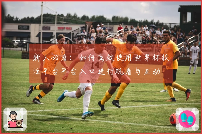 新人必看：如何高效使用世界杯投注平台平台入口进行观看与互动