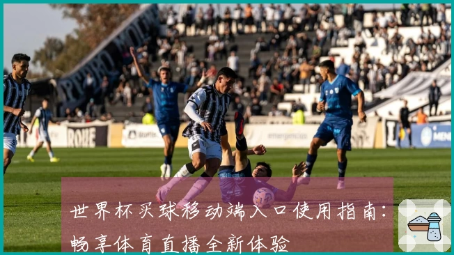 世界杯买球移动端入口使用指南：畅享体育直播全新体验