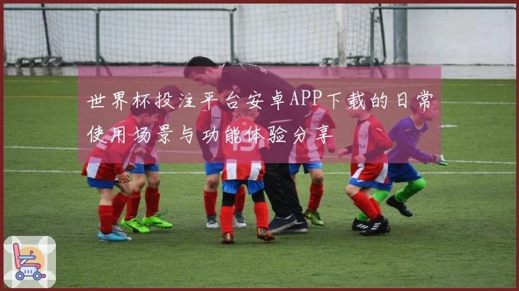 世界杯投注平台安卓APP下载的日常使用场景与功能体验分享