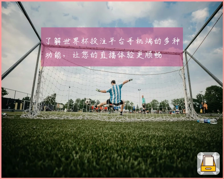 了解世界杯投注平台手机端的多种功能，让您的直播体验更顺畅