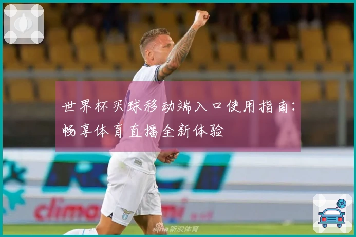 世界杯买球移动端入口使用指南：畅享体育直播全新体验