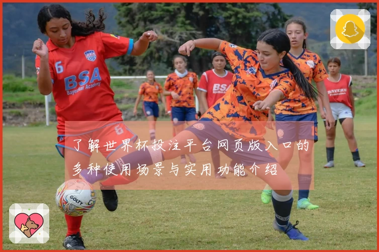 了解世界杯投注平台网页版入口的多种使用场景与实用功能介绍