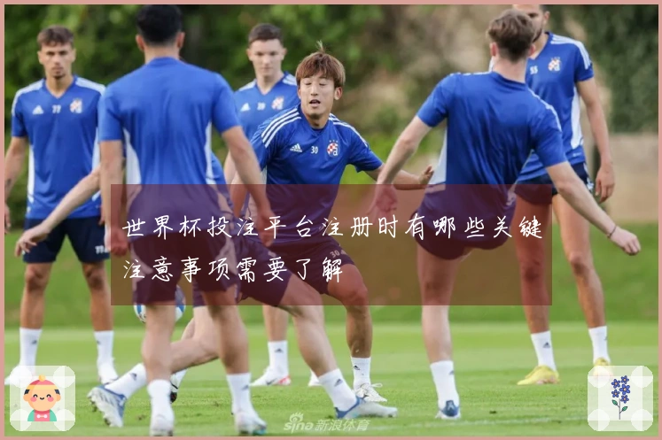 世界杯投注平台注册时有哪些关键注意事项需要了解