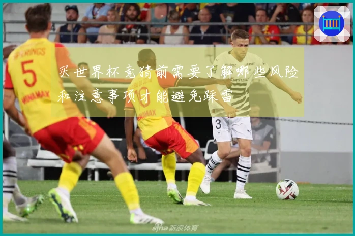买世界杯竞猜前需要了解哪些风险和注意事项才能避免踩雷