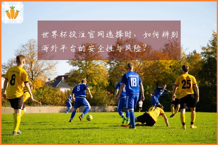 世界杯投注官网选择时，如何辨别海外平台的安全性与风险？