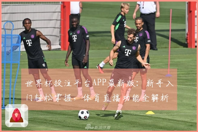 世界杯投注平台APP最新版：新手入门轻松掌握，体育直播功能全解析