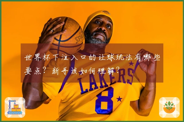 世界杯下注入口的让球玩法有哪些要点？新手该如何理解？