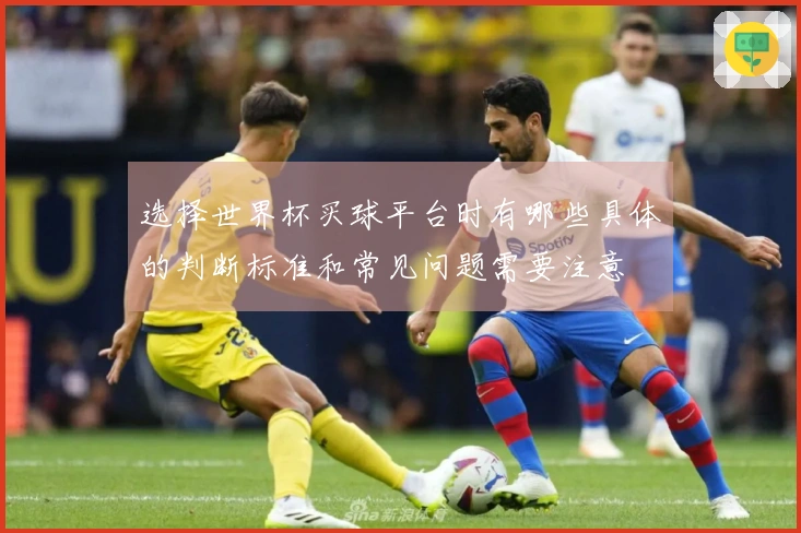 选择世界杯买球平台时有哪些具体的判断标准和常见问题需要注意