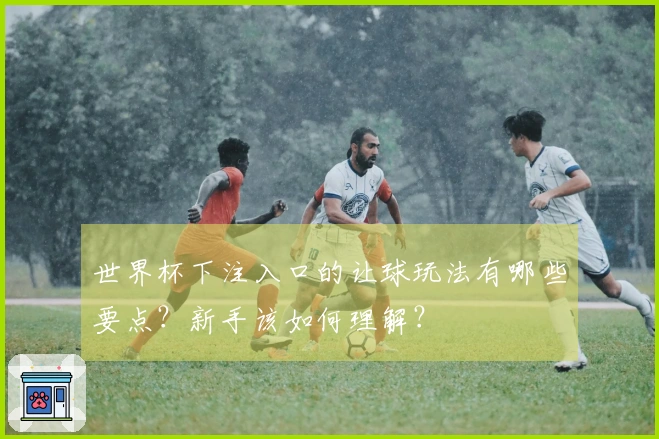 世界杯下注入口的让球玩法有哪些要点？新手该如何理解？