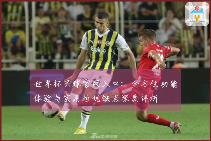 世界杯买球官网入口：全方位功能体验与实用性优缺点深度评析